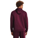 Sudadera Big Logo UA 743 Br