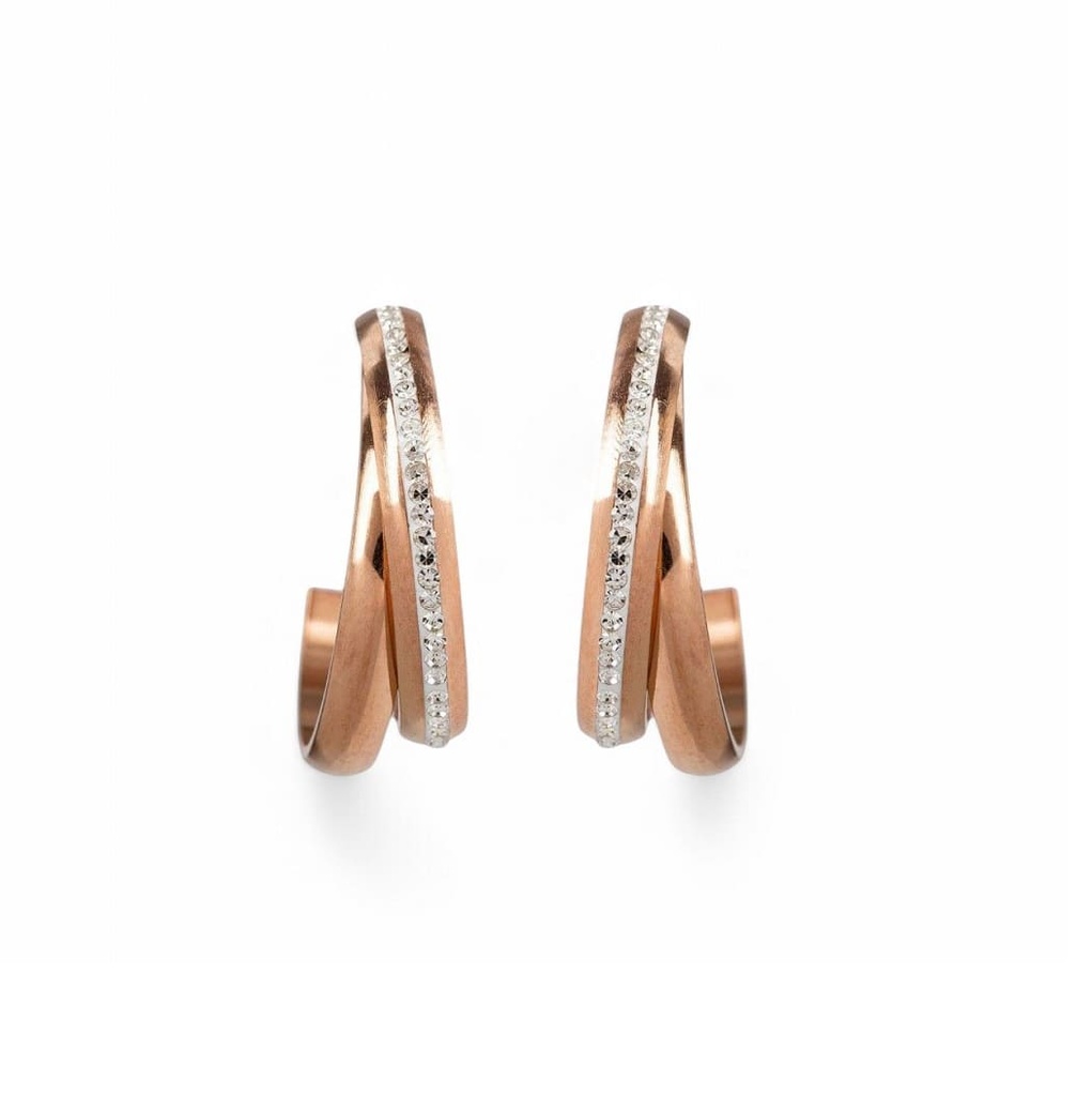  Pendientes EAR_5861 Vilanova 