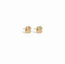  Pendientes EAR_7731 Vilanova 