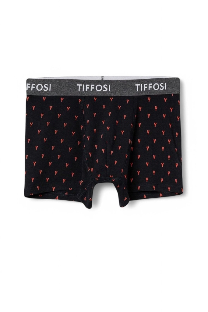 Boxer Jacob Tiffosi Az