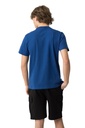 Camiseta Rocky Tiffosi Az