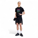 Camiseta Cnyk Ellesse Ng