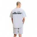 Camiseta Darryl Ellesse Gr