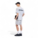 Camiseta Darryl Ellesse Gr