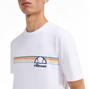 Camiseta Lental Ellesse Bc