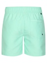 SWS950 6182 Bañdor Vd PTR   M