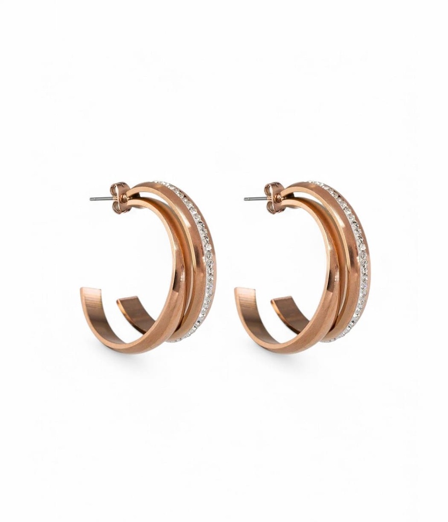  Pendientes EAR_5861 Vilanova 
