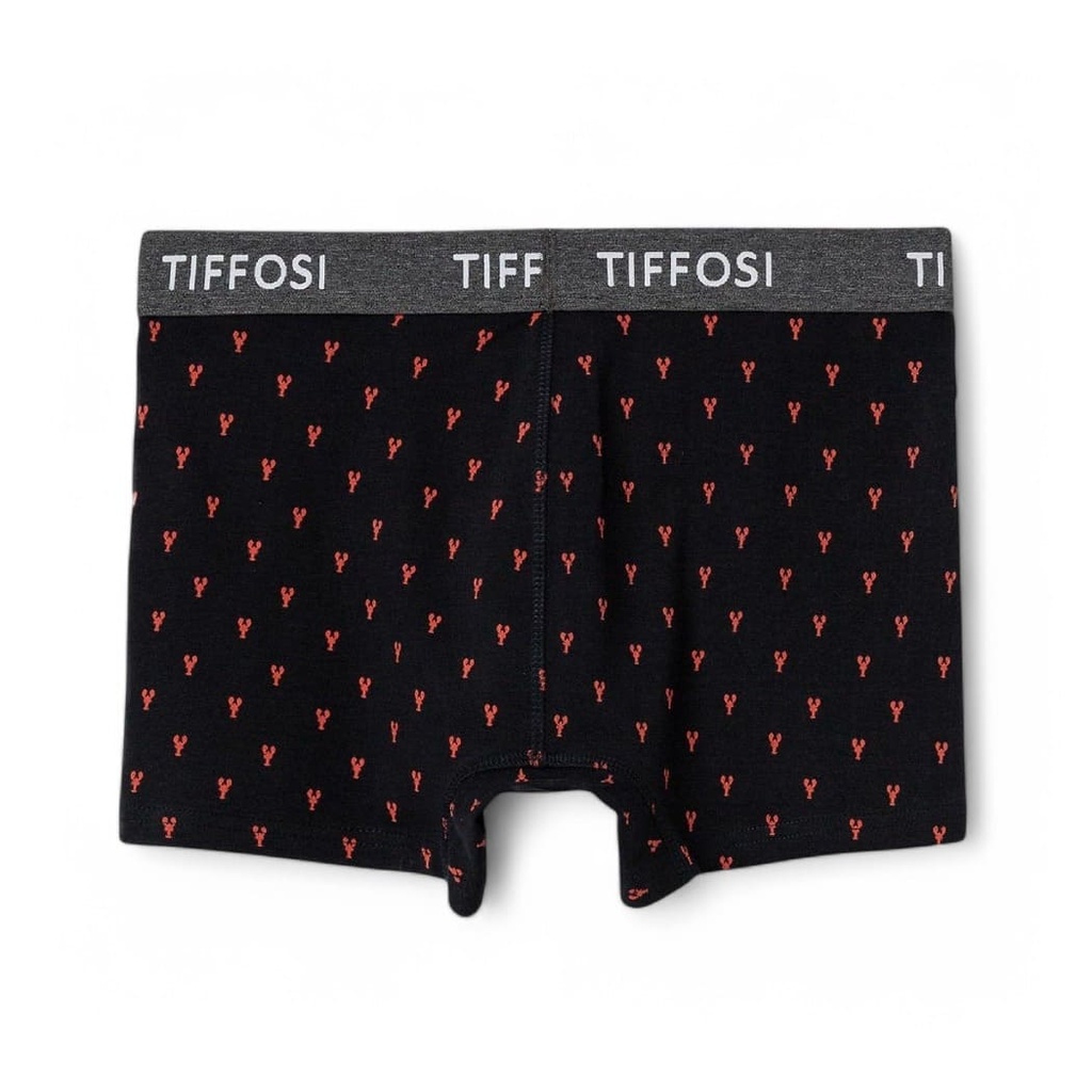 Boxer Jacob Tiffosi Az