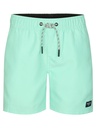 SWS950 6182 Bañdor Vd PTR   M