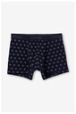 Boxer Geniano Tiffosi