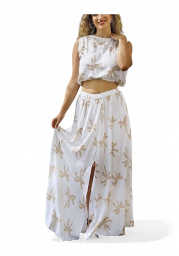 Conjunto Falda Top Bc
